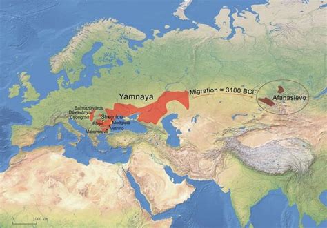 yamnaya folket|Jamnakulturen – Wikipedia